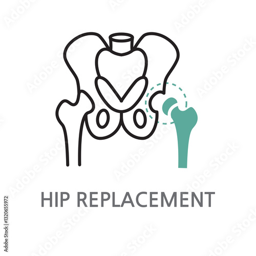 22.HIP REPLACEMENT.Bone, joint, hip icon. Edible bone, joint, hip linear illustration icon on white background. EPS, PNG, JPG