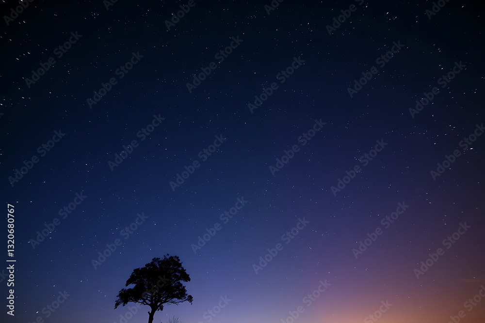 Fototapeta premium Slightly dark stock-image featuring rich, deep teal tones in a calm night sky, with countless stars twinkling above and a lone tree silhouette, creating a peaceful and inspiring atmosphere