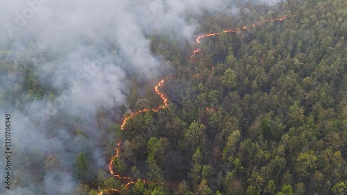 Aerial view of a fierce forest fire spreading rapidly, with thick smoke and bright flames consuming the trees.