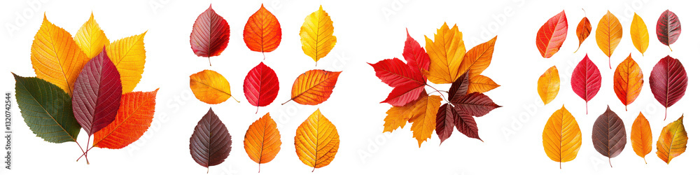 Fototapeta premium Stunning collection of vibrant autumn leaves and foliage in a variety of warm rich colors including red orange yellow and green Natural seasonal background with patterns and an aesthetic