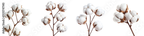 Closeup view of lush cotton plant with soft fluffy white flower buds and blooms  Natural organic botanical background with delicate floral textural elements serene and peaceful composition