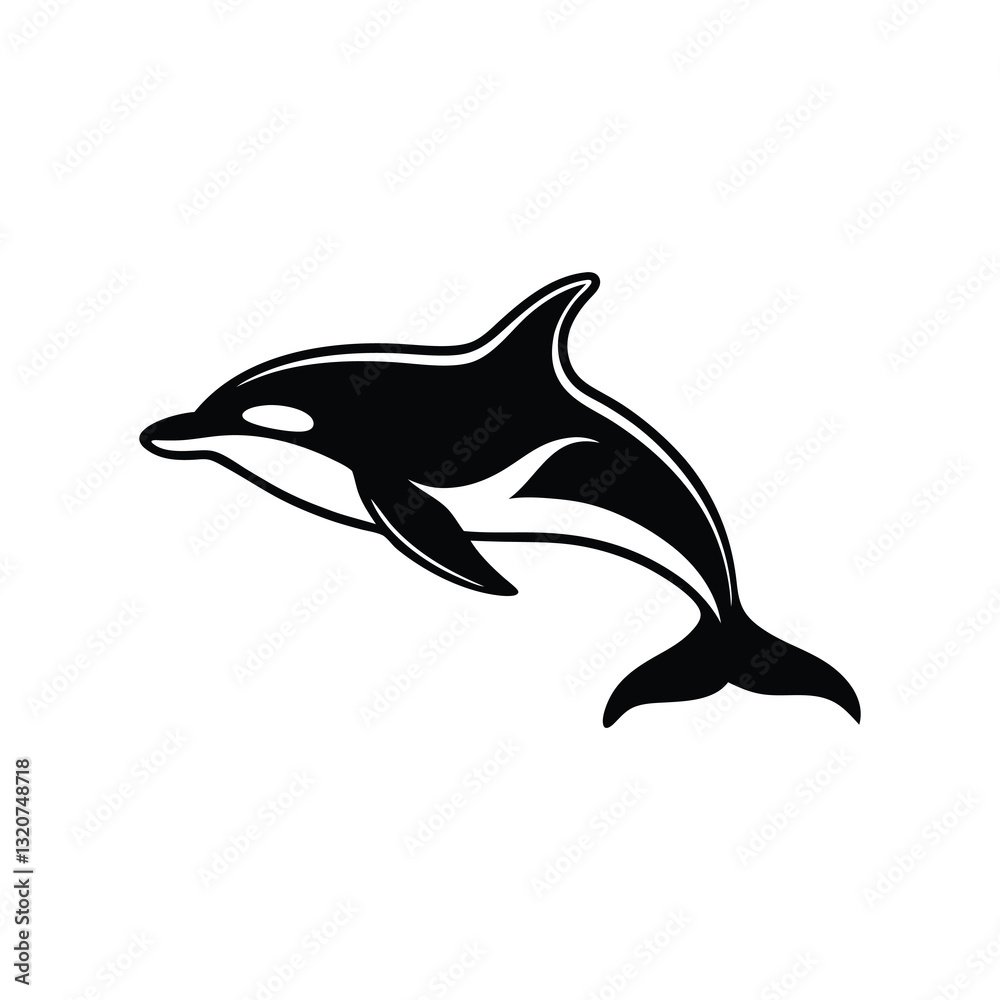 Fototapeta premium dolphin isolated on white background