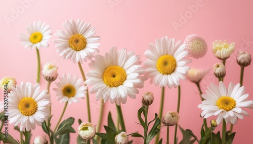 Vibrant daisies and soft blooms arranged against a pastel pink backdrop during a spring celebration of nature's beauty in a studio setting