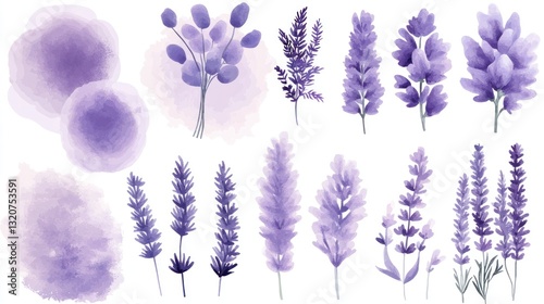 Fototapeta Naklejka Na Ścianę i Meble -  Watercolor lavender floral elements; sprigs, bouquets, and purple watercolor washes