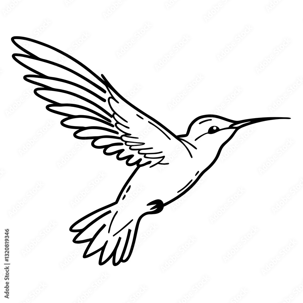 Obraz premium A flying bird line drawing continuous line art vector isolated on transparent background png