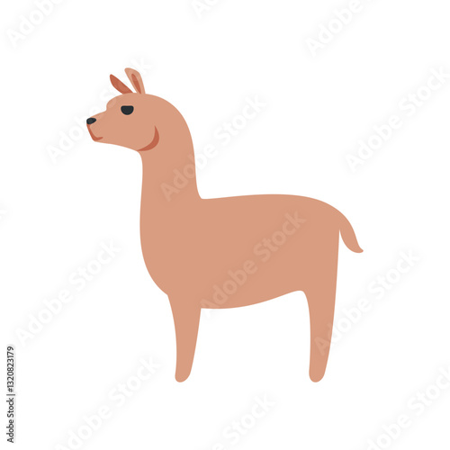 Llama