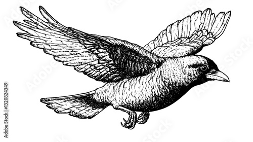 Engraved illustration of a bird in flight capturing the essence of nature in an artistic tattoo design for creative expression