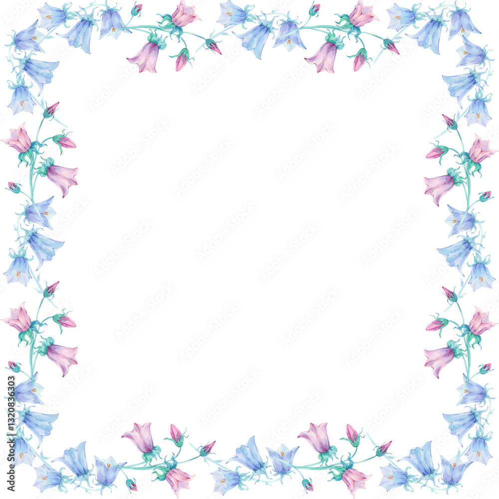 Bellflower flower. Square frame watercolor. Pink, blue Bellflower flower. Square frame watercolor. Pink, blue