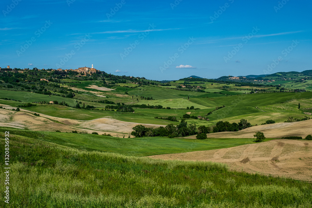 Obraz premium Panorama toscano in Val d'Orcia