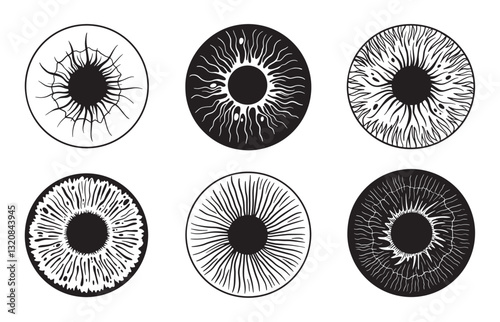Human eye structure. Iris anatomical elements, abstract person irises macro style. Vision controlling, pupils different, ophthalmology neoteric vector set