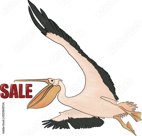 vector illustration of a shopaholic pelican