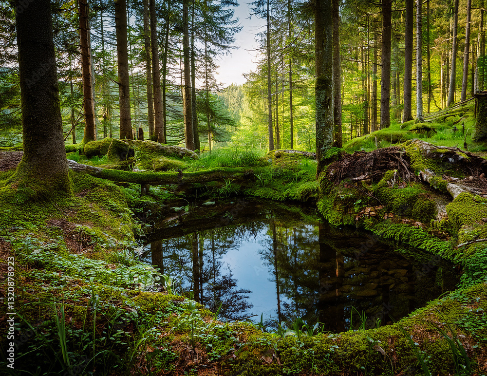 Obraz premium Generated image 森の泉