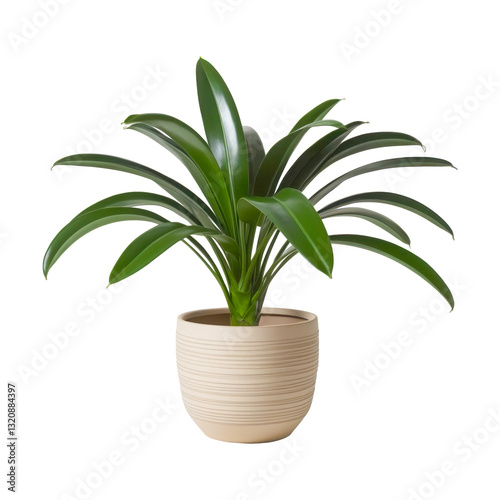 Elegant Green Potted Plant in a Stylish Beige Pot