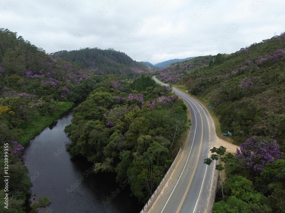 Scenic road with purple flowering trees and river. Scenic road with purple flowering trees and river.