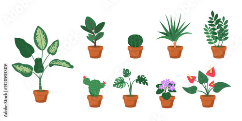 Potted houseplants and flowers in terracotta pots, includes leafy greens, cacti, succulents. Decorative indoor plants set in flat vector illustration style isolated on transparent.