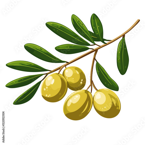 Mediterranean olive twig Tree branch with green and black olives. Organic natural fruit product. Short twigs branche sprigs with leaves. Agriculture plant. Vegan white background