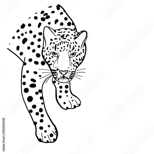 vector illustration of a silhouette of a leopard 