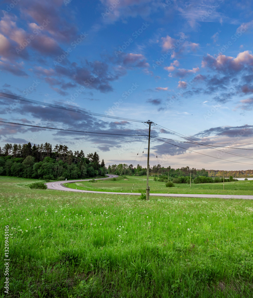 Fototapeta premium Rural landscape with a long road and a tall power pole