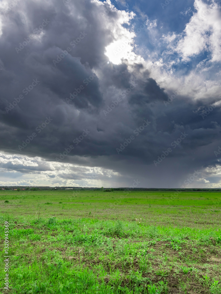 Field of grass is covered in clouds