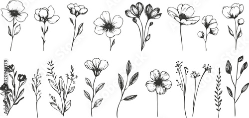 Black and white floral sketches with various flower designs and botanical elements.