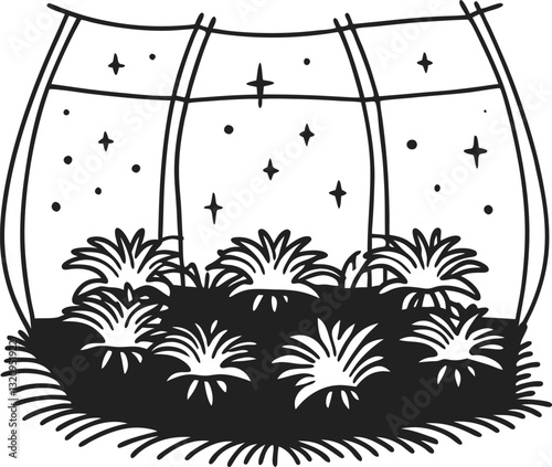 Terrarium with stars celestial plant display with cosmic night sky theme