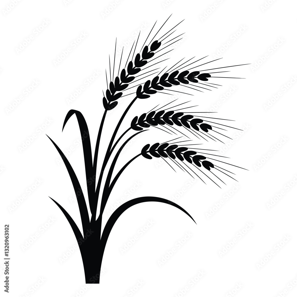 Obraz premium Wheat stalks Silhouette, Vector, Icon, Logo, White Background.