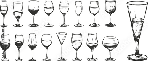 Illustrated set of various wine glasses in black and white.