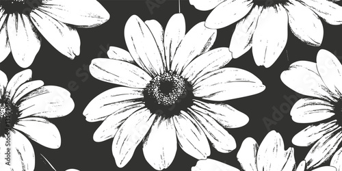 Monochrome illustration of daisies forming a repeating floral pattern.