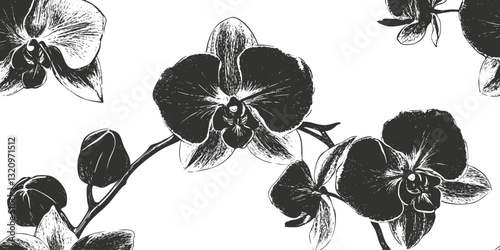 Monochrome orchid flower illustration with elegant black and white design.