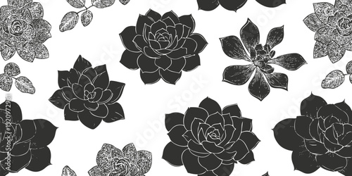 Black and white succulent pattern with elegant floral illustrations.