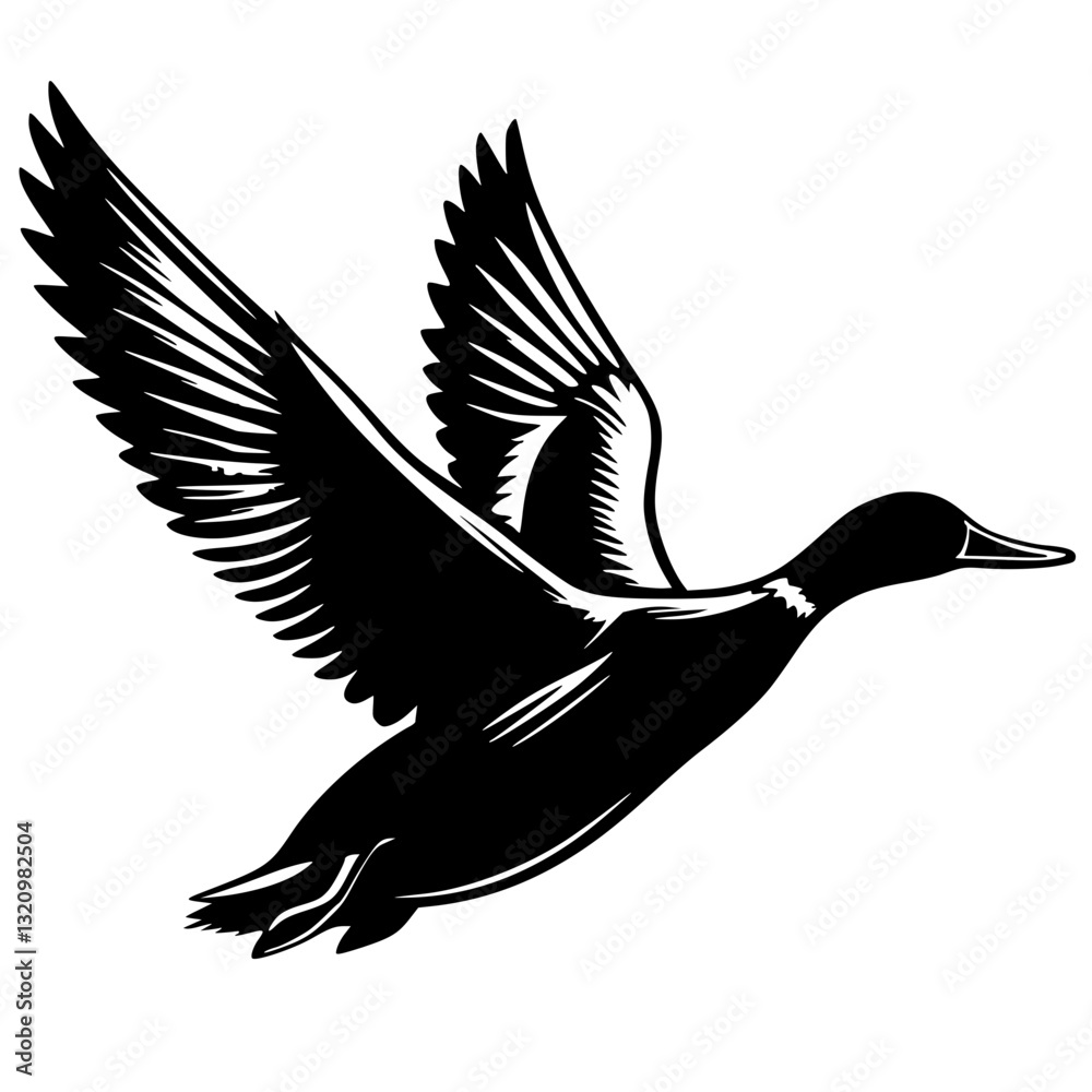 Obraz premium Flying duck silhouette