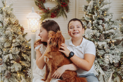 Studio portrait of preteen siblings or cousins in a festive Christmas setting