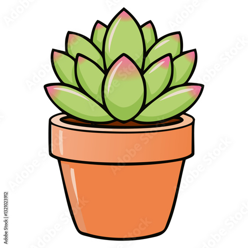 Succulent plant in a terracotta pot