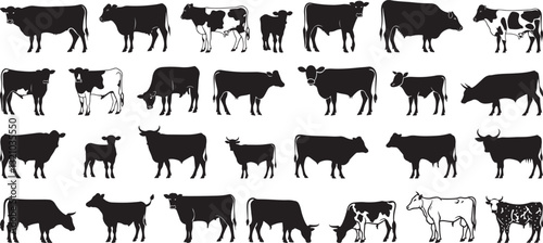 Cows Silhouettes Vector Illustration Isolated on White Background