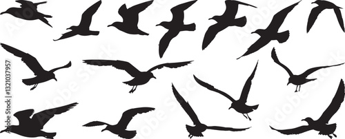 Seagull Silhouettes Flying, Vector Illustration Isolated on White