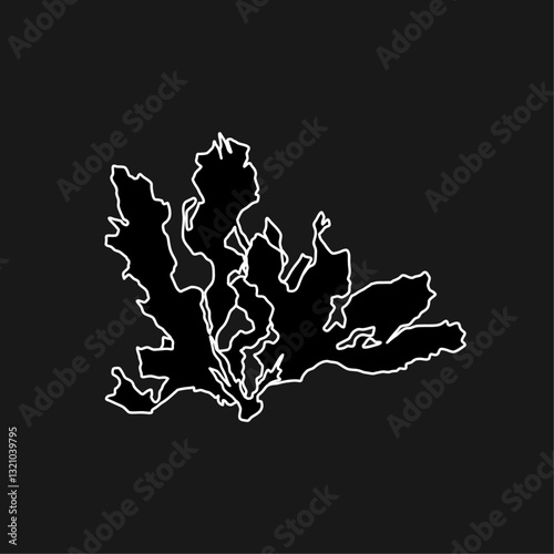 Hand drawn Spatoglossum solieri brown algae graphic illustration. Natural drawing