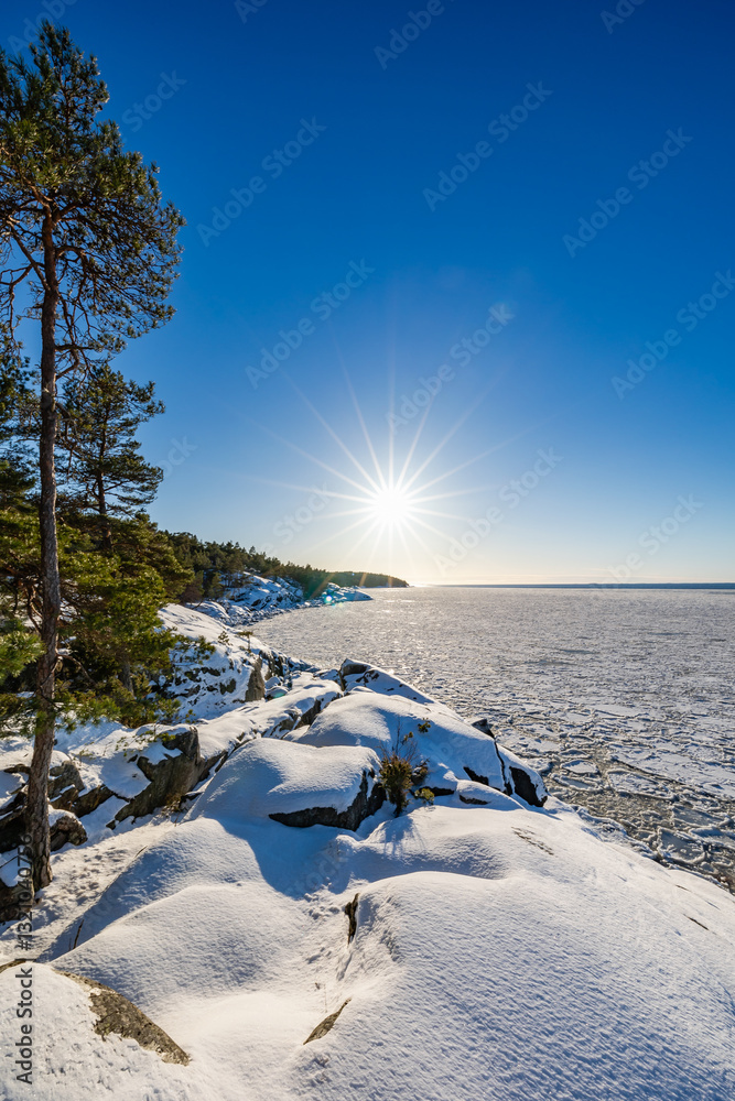 winter landscape with snow