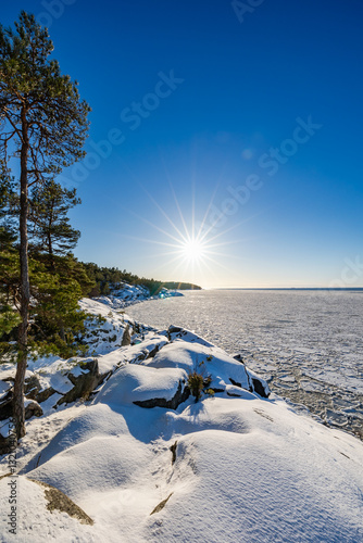 winter landscape with snow