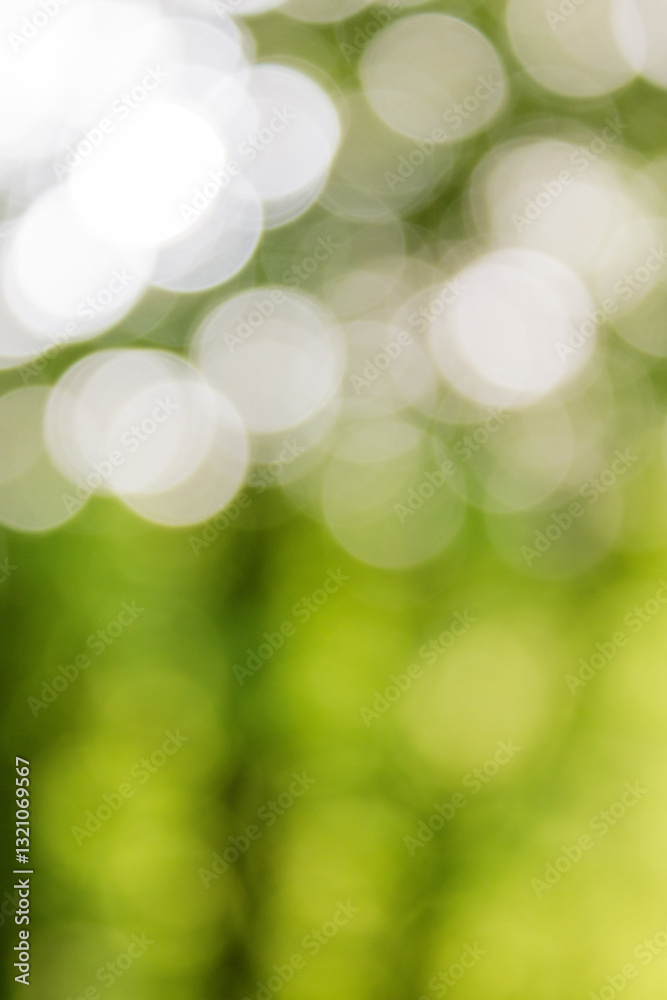 green nature background. forest outdoor in blur. fresh spring