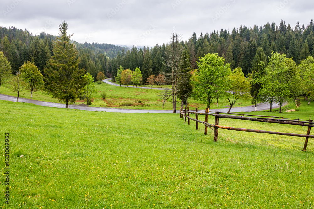 countryside landscape in spring. wooden fence on the grassy meadow and forest on the hill. beautiful view in to the valley