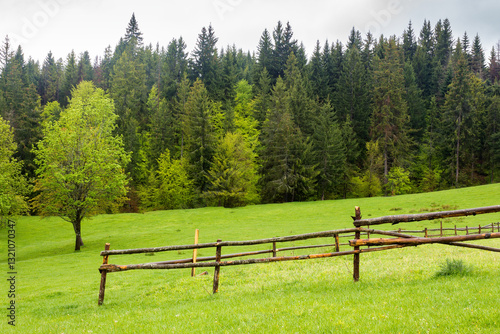 Obraz na płótnie countryside landscape in spring. wooden fence on the grassy meadow and forest on the hill. overcast sky w salonie