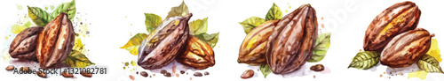 Watercolor Cacao Beans Vector Illustration Set on White Background