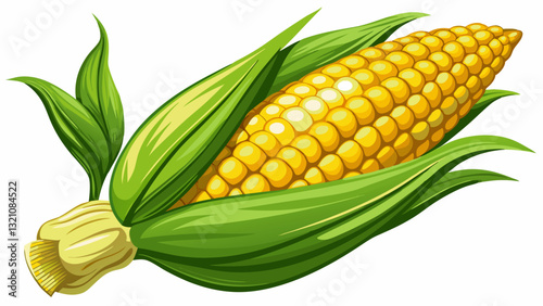 Fresh corn on white background isolated