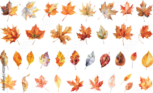 Autumn Leaves Collection Vector Illustration, Isolated on White Background