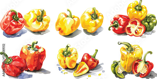Pepper Vector Illustration, Watercolor Style, Isolated on White Background