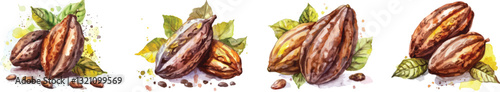 Watercolor Cacao Beans Vector Illustration Set on White Background