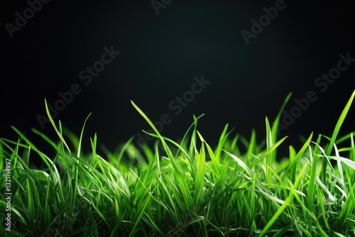 Lush green grass blades against a dark background