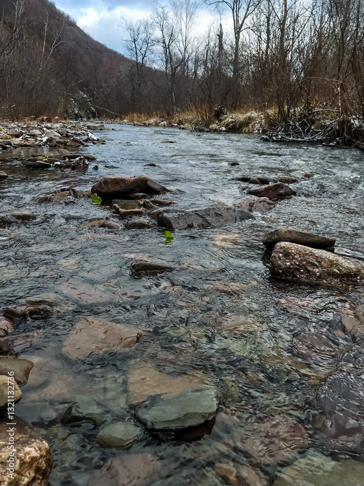 A river meanders gracefully through a rugged rocky area, surrounded by tall, lush trees that provide a beautiful backdrop, enhancing the breathtaking natural scenery of the wilderness