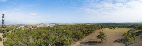 Panorama of paddock with cleared trees and forest
