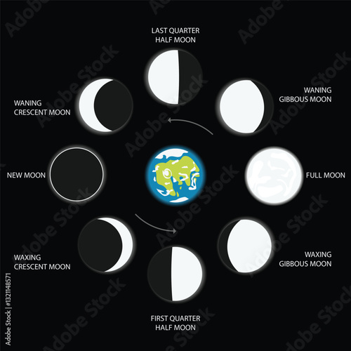 changing phases moon vector design
